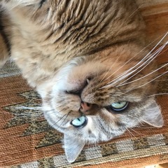 Boadicea Edit X ChristinaVantzou