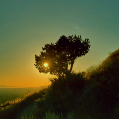 Slow dancing in the sunset