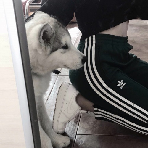 Tanir & Tyomcha - Да Да Да