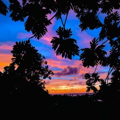 Mirror To Magic✨️