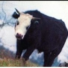 Robotmetropolis - Es tuya Juan ft Suno V3 Ai