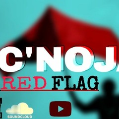 C'noja-Mr REDFLAG(Freestyle).mp3