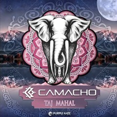 Henrique Camacho   Taj Mahal