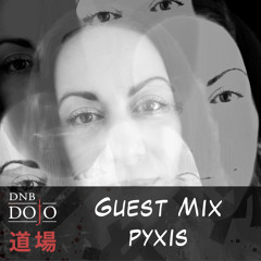 Guest Mix: pyxis