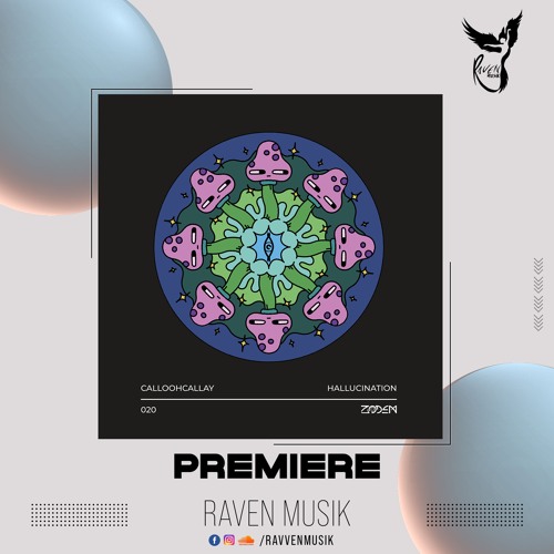 PREMIERE: CalloohCallay - Hallucination (Original Mix) [ZODEM]