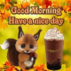 GOOD MORNING HAVE A NICE DAY