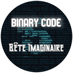 binary code (original mix)