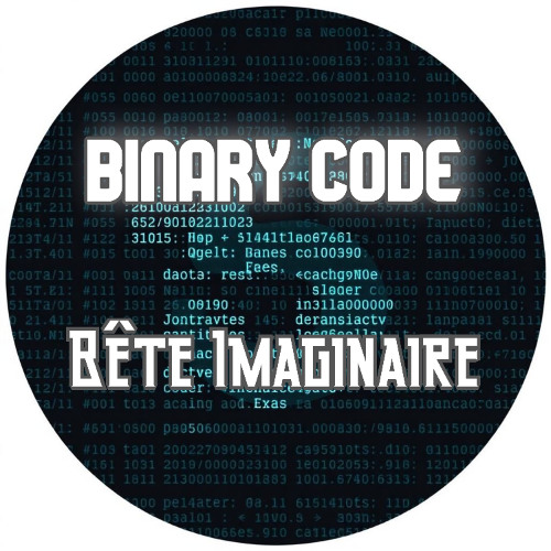 binary code (original mix)
