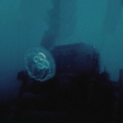 No Love In The House Of Gold - moon jelly and the benthic blues