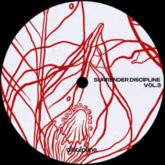 PREMIERE: Surrender Discipline - Disco Bliss