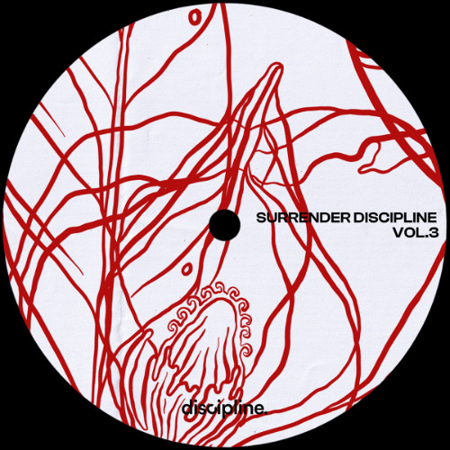 PREMIERE: Surrender Discipline - Disco Bliss