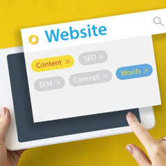 Best Website Development Company - Dream Cyber Infoway
