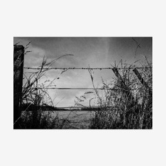 Crossover Network - Laughter Forever After (Pleasure Deficit 007)