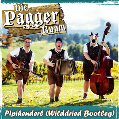 Die Pagger Buam - Pipihenderl (Wilddried Bootleg)