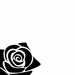st4r (interlude)