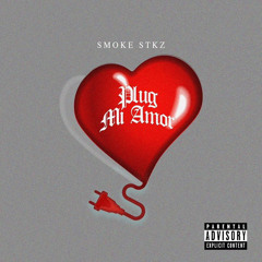 Plug Mi Amor