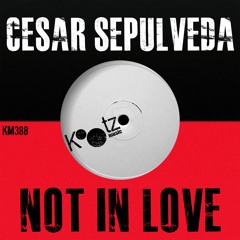 Cesar Sepulveda, Roux, Vadi (AU) - Not In Love EP