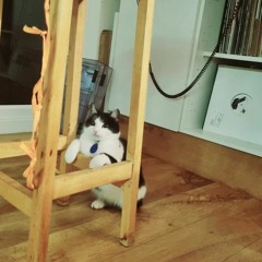 Lisa Techno Mix short V 02.04.2023