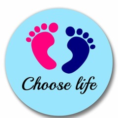 Parish Profiles of the Mid-Hudson Valley - Respect Life Club at Our Lady of Lourdes High School