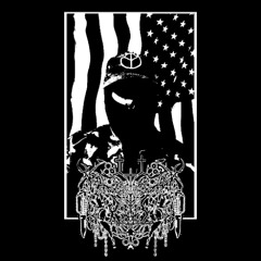 I DONT GIVE A FUCK ABOUT STOLEN VALOR