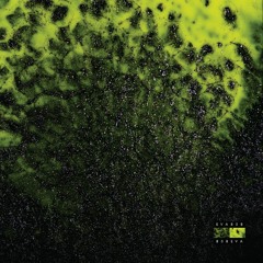 Premiere: EVA808 'GOLD TOOTHED TIGRESS'