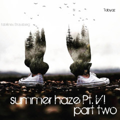 Summer haze Pt. VI - part two | 2025