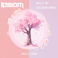 Ipsiom Presents: Best Of Colour Bass 2023