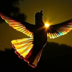 اغنية ظروف معنداني بصوت حنان حسن