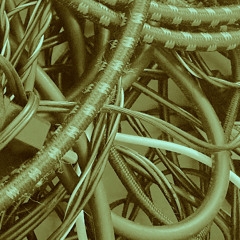 no crocodiles on mars