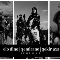 elo dîno, şemîran, şekir axa