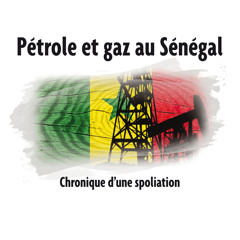 ePub/Ebook Pétrole et gaz au Sénégal BY : Ousmane SONKO