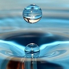 In the Dance of Digital Life.mp3