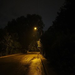 { وَخَشَعَتِ الأصْوَاتُ لِلرّحْمَنِ }