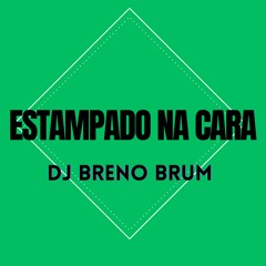 POZE - ESTAMPADO NA CARA (DJ BRENO BRUM) 2024 REMIX RJ