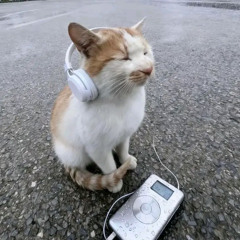 Bumble Bee (Frenchcore)
