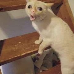 Tired (original song)