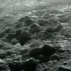 transcription continues