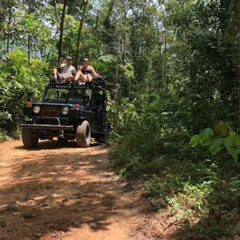 Review Special Price Eco Jungle Safari Tour Around Koh Samui Including Lunch