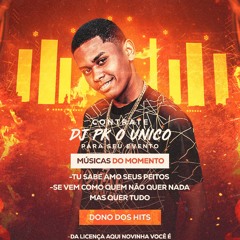 RITMO LOUCO SEQUÊNCIA DA ORGIA x ELA FEZ MACETE NA VARA - MC NAIBA ( DJ PK O Único )