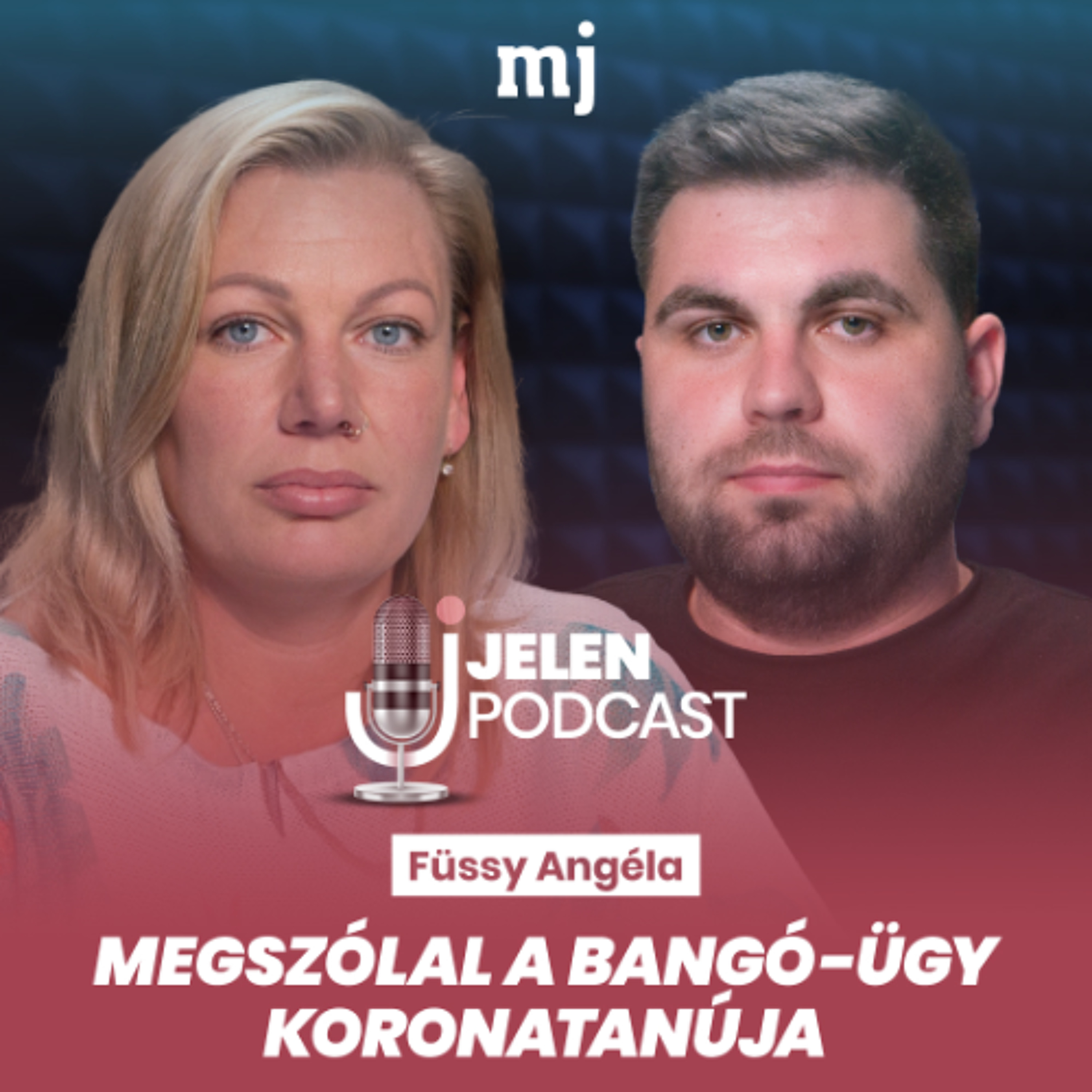 Lehull a lepel: kapott pénzt Bangó Sándor a Kontroll-interjúért? episode artwork