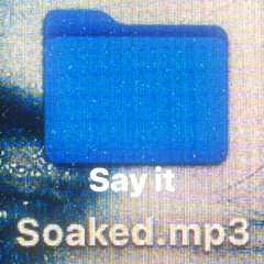 Say It Soaked (NipLung Remix)