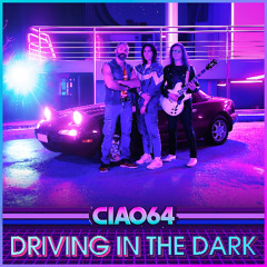 Driving in the Dark