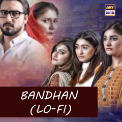 Bandhan | Lo-Fi | Slow & Reverb 🎶 | Bushra Bilal | ARY Digital