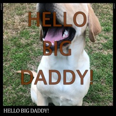Hello Big Daddy!