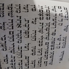 תכלת לבן