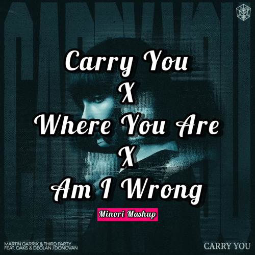 Carry You vs Where You Are vs Am I Wrong (Extended Mix)