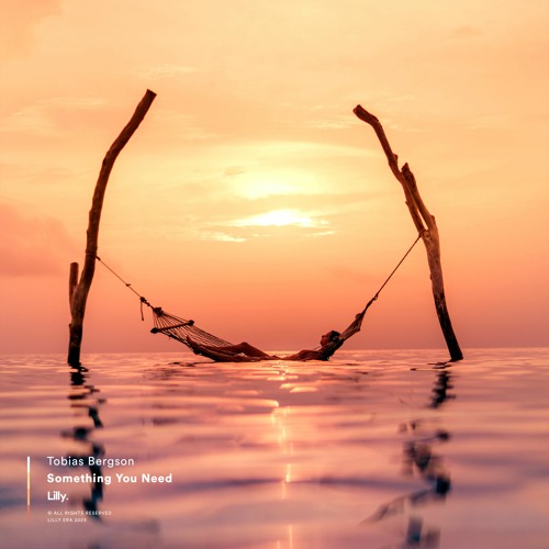 Tobias Bergson - Something You Need
