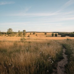 Part 3 - In the Distance