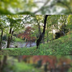 多摩川台公園 Tamagawadai Park ✾ 5-10:30am springtime ambience