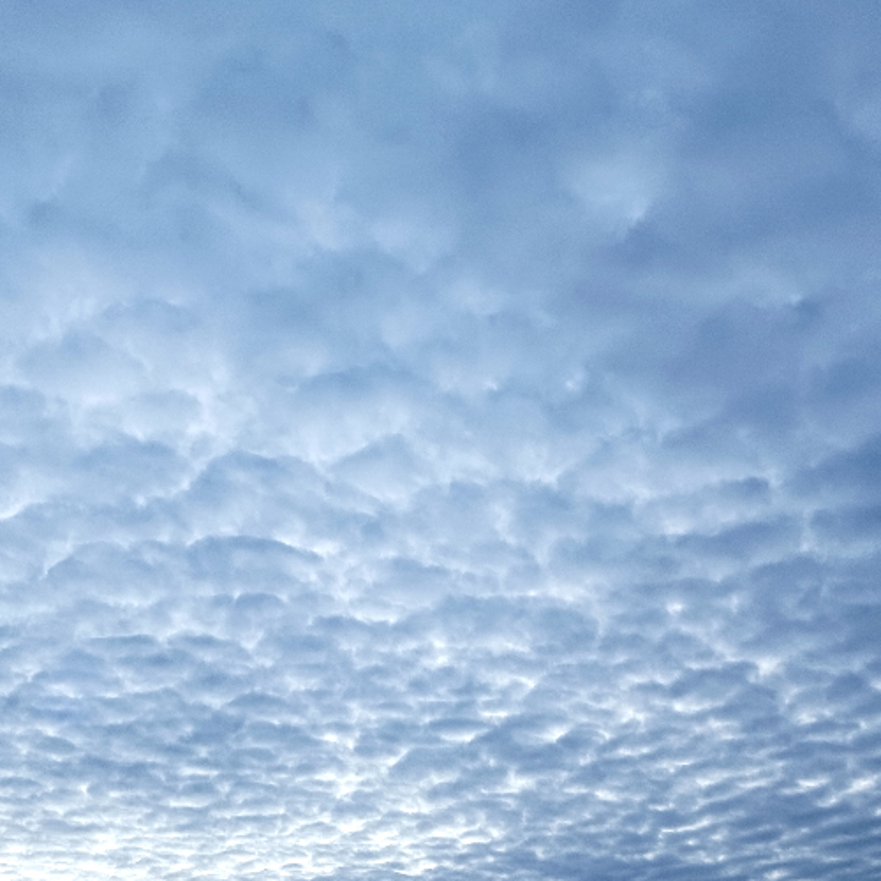 Forecast from Wednesday, 2-25-26